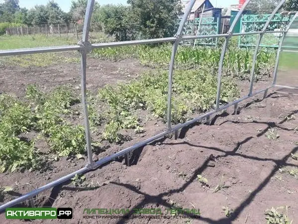 Теплица Ударница Урожайная Теплица Ударница Урожайная