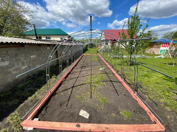 Теплица Ударница Сверхпрочная Теплица Ударница Сверхпрочная