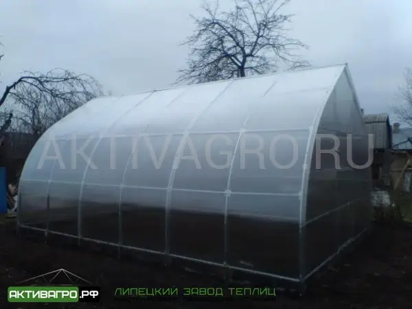 Теплица Ударница Агроном Теплица Ударница Агроном
